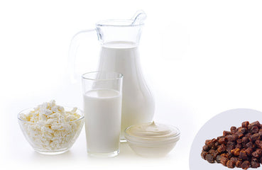 Probiotika: In welchen Lebensmitteln sind sie enthalten und welche Wirkung haben sie?